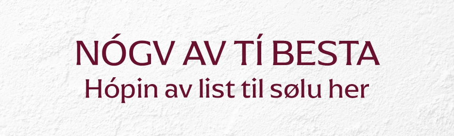 Heimasíðu_grafikkur_2